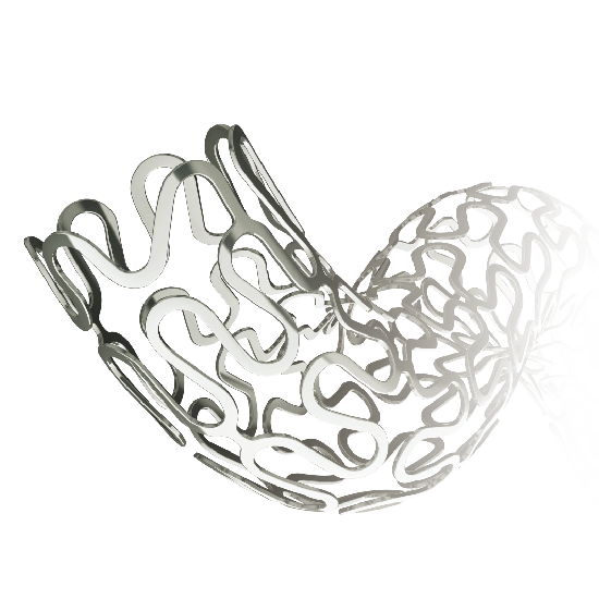 Coronary Stents