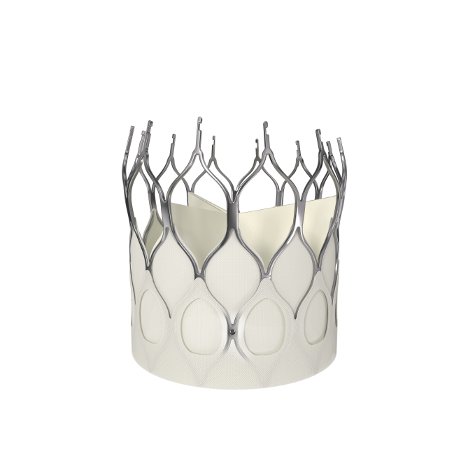 The worlds only selfexpanding short valve combining the advantages of both selfexpanding and balloon...